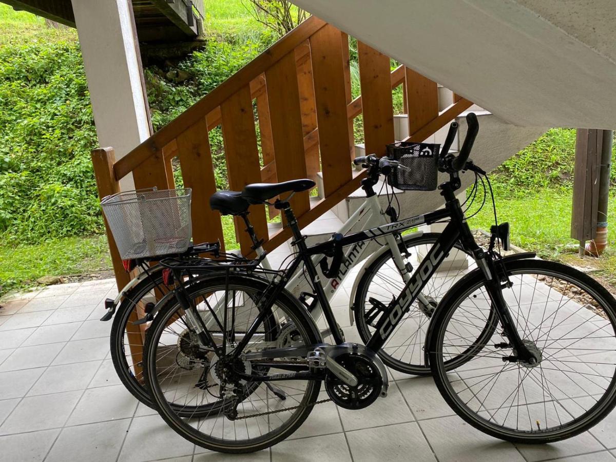 Geschmackvolles Appartement Am Donauradweg Obernzell Luaran gambar